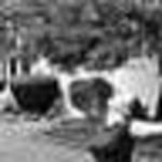 Profile Picture of Lisa (@cousin lisa) on Flickr