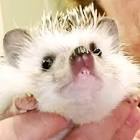 Profile Picture of   Janis Cooley Leonard... (@jay_jay_leonard) on Tiktok