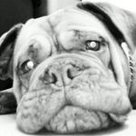 Profile Picture of Mark Cattell (@cattellmark) on Instagram