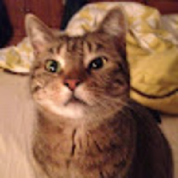 Profile Picture of Marisa Kim (@marisakim520) on Poshmark