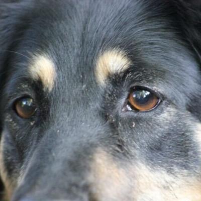 Profile Picture of Beate Guthoff (@BeateGuthoff) on Twitter