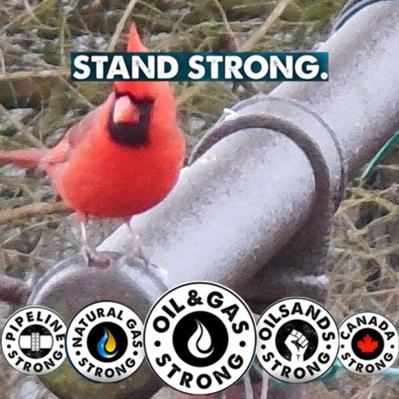 Diane Buterbaugh - Poshmark Profile Picture of Diane Buterbaugh (@diaden364) on Poshmark