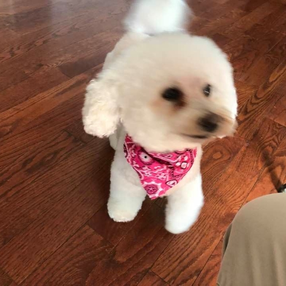 Profile Picture of Marlene Crannell (@marlenecrannell) on Poshmark