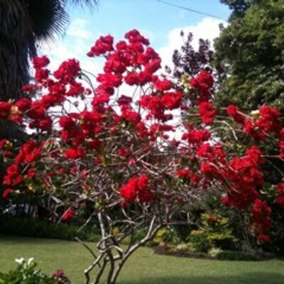 Profile Picture of Helene Michaud (@HeleneMichaud) on Twitter