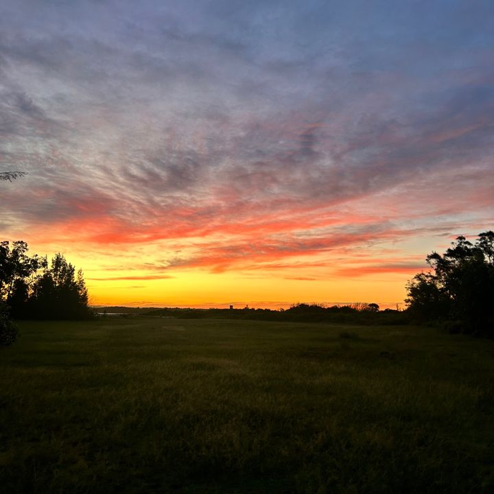 Profile Picture of mitchell (@mitchell.batten) on Tiktok