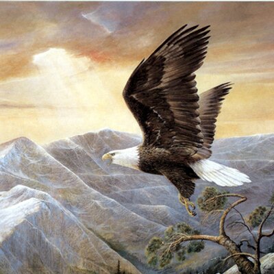 Profile Picture of Michael Rassi (@RassiMichael) on Twitter