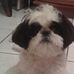 Profile Picture of Nietz Frederico (@nietz.frederico.7) on Facebook