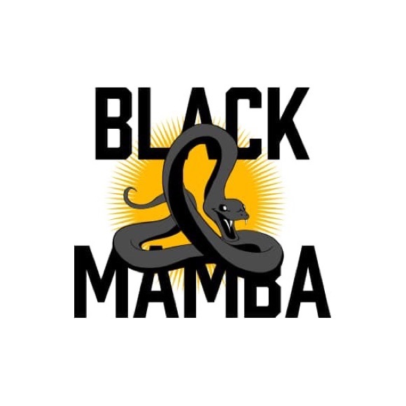 Profile Picture of Joel Alfonso (@joel_alf) on Poshmark