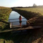 samantha eggert - Instagram Profile Picture of samantha eggert (@eggertsamantha) on Instagram