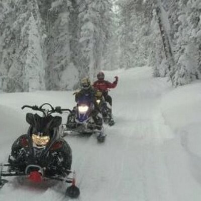 Profile Picture of Nick (@NickMaki5) on Twitter