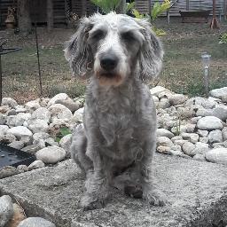 Profile Picture of Manfred Kaiser (@KaiserMandi1954) on Twitter