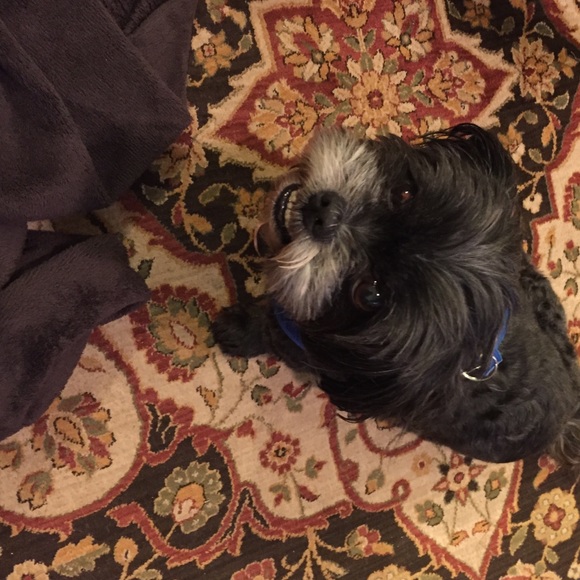 Profile Picture of Eileen Yuen (@eoyuen) on Poshmark