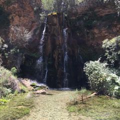 Profile Picture of Jose SAiz (@josesaiz06) on Tiktok