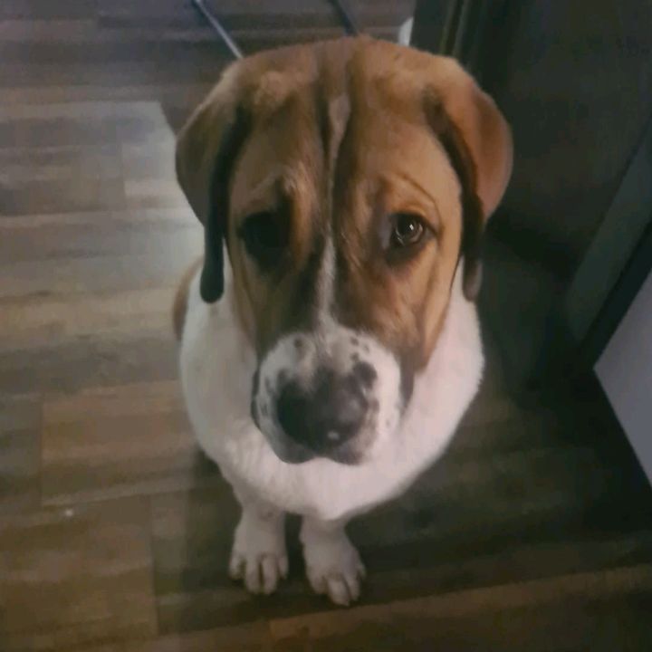 Profile Picture of JonathanFakes (@@jonathanfakes) on Tiktok