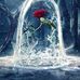 Profile Picture of Omar Jaber (@omar.jaber.7906932) on Facebook