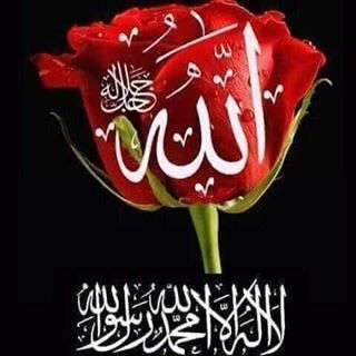 Profile Picture of Syed Yaser (@syed.yaser.94) on Facebook