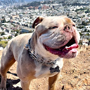 Brian-Derek - Youtube Profile Picture of Brian-Derek (@Brian-Derek) on Youtube