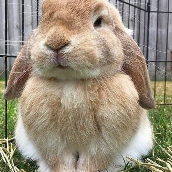 Profile Picture of Megan Cervone (@megancervonee) on Poshmark