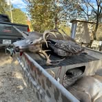 Profile Picture of Tyler Fraley (@tyler.fraley.33) on Facebook