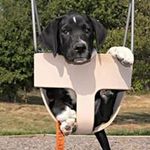 Profile Picture of Derek LaBell (@dlabell619) on Instagram