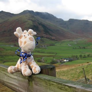 Profile Picture of Joey O'Malley (@joey.omalley.50) on Facebook