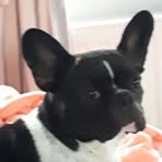 Profile Picture of Sonia Dever (@sonja.dever) on Facebook