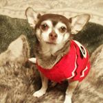 Profile Picture of neal schoen (@schoenneal) on Instagram