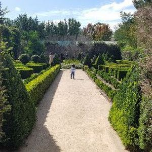 Profile Picture of Lorie Rudge (@lorie.rudge) on Tiktok