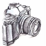 Profile Picture of Sheri Poole (@sep_photography7) on Instagram