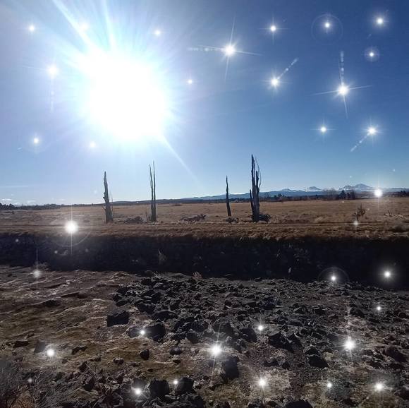 Lane Sholter - Poshmark Profile Picture of Lane Sholter (@lanesholter) on Poshmark