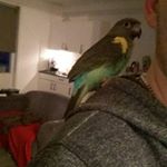 Profile Picture of maurice de keizer (@mauricedekeizer) on Instagram