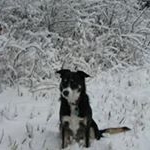 Profile Picture of Terry Hegenbart (@terryhegenbart) on Instagram