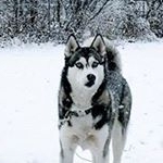 Profile Picture of Michael McGreal (@michaelmcg70) on Instagram