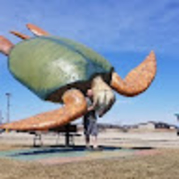 Profile Picture of Chris Topher (@winnienorquay) on Poshmark