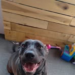 Profile Picture of Tara Fogle (@Tara-Fogle) on Facebook