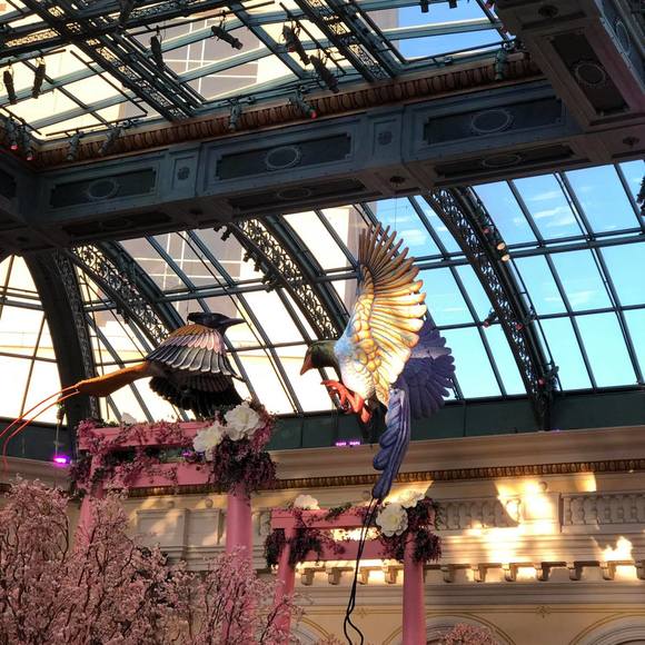 Ruben Sotelo - Poshmark Profile Picture of Ruben Sotelo (@chicofasil) on Poshmark