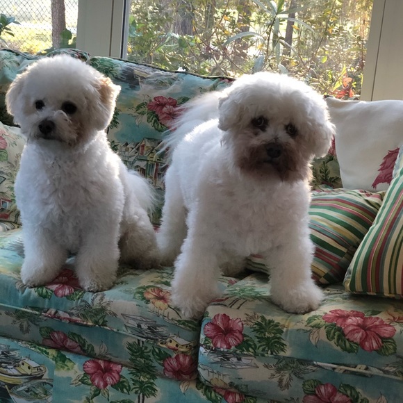 Janie Rickenbaker - Poshmark Profile Picture of Janie Rickenbaker (@j_rickenbaker) on Poshmark