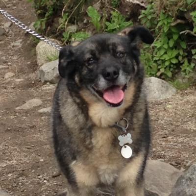 Profile Picture of Roberta Beatty (@roberta_beatty) on Twitter