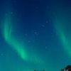 Profile Picture of Tom Guo (@2169670226) on Tiktok