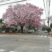 Profile Picture of Juan Carlos Salame Cuéllar (@juancarlossalamecuellar109) on Youtube