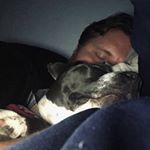Profile Picture of Tom Pentowski (@tommyptunes) on Instagram