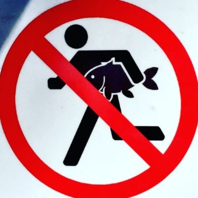 Profile Picture of Jacob_hogg_4life (@JacobHogg1997) on Twitter