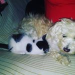 Profile Picture of John Linehan (@john.linehan.129) on Instagram