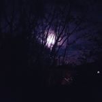 Profile Picture of Jason Viehoff (@gr4b0s) on Instagram