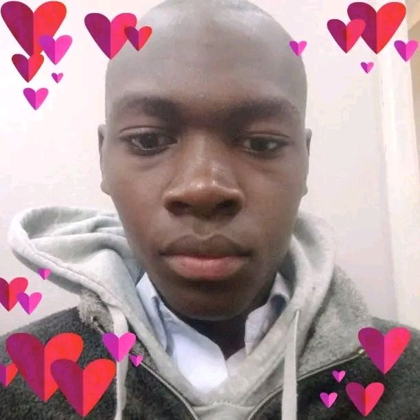 Profile Picture of Lee Proff (@lee.proff) on Tiktok