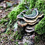 Profile Picture of Dirk Bouma (@dirk_bouma) on Flickr