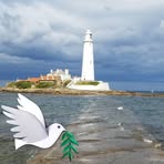 Profile Picture of Stuart Gorman (@stuart.gorman.50) on Facebook