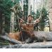 Profile Picture of Troy Doner (@troy.doner.9) on Facebook