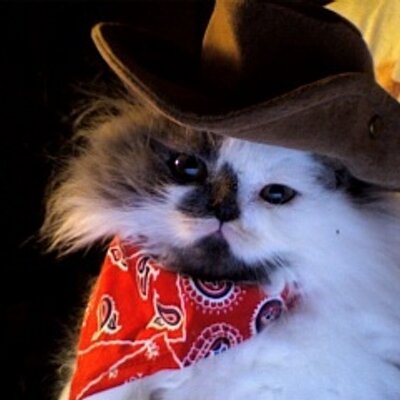 Profile Picture of Phyllis Hernandez (@sparrow4evr) on Twitter