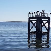 Profile Picture of Joe Gier (@joe-gier-4) on Quora